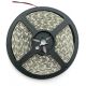 LED traka 12V 24W 6400K IP65  5m